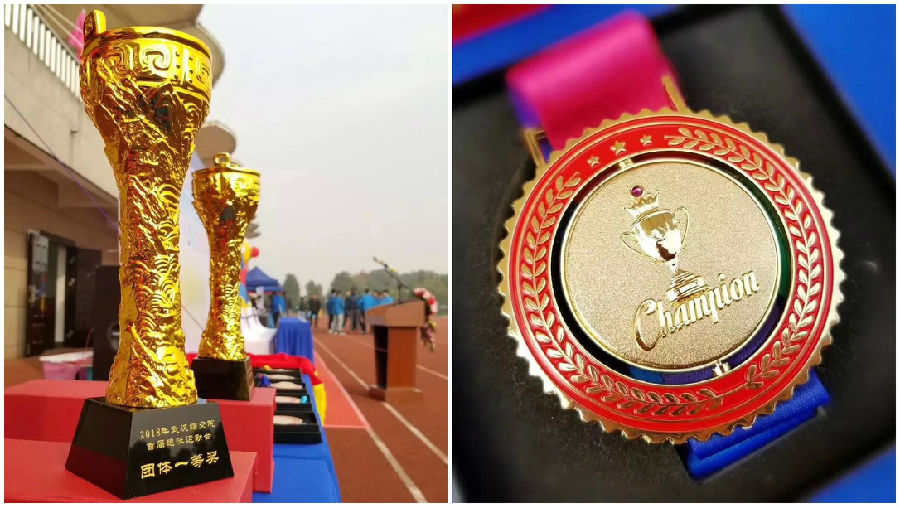 Z6���������ǲ�(�й���)���޹�˾����