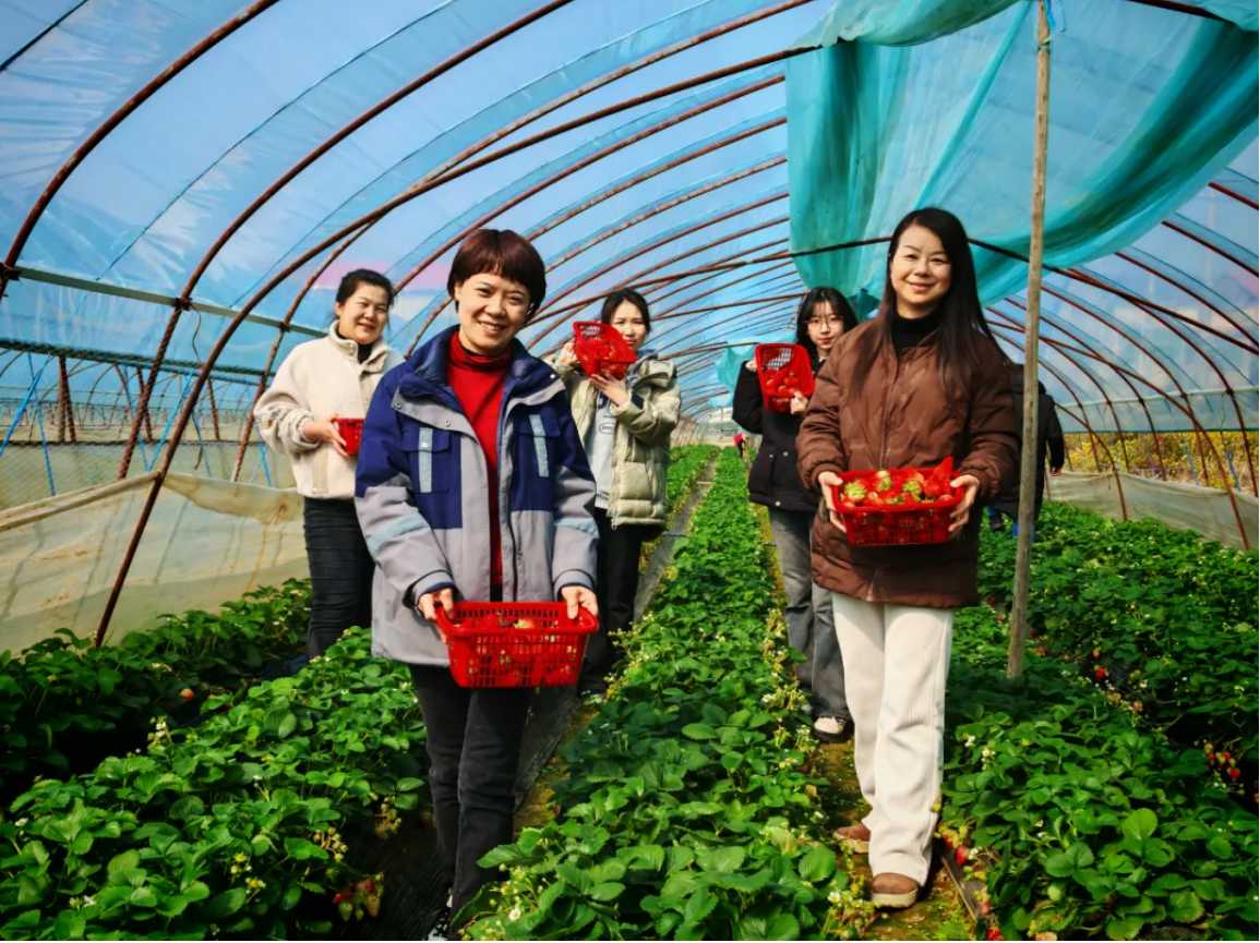 Z6·人生就是博(中国区)有限公司官网