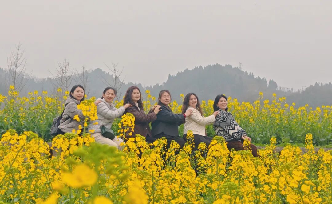 Z6·人生就是博(中国区)有限公司官网